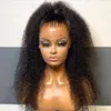 250% density Glueless Full Wigs For Black Women Kinky Curly Lace Front Wigs Raw Peruvian Human Hair Hd Lace Frontal Wigs Human Hair