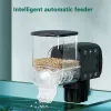 Feeders Aquarium Fish Tank Feeder Intelligent Automatic Feeder Digital Timing Wifi Wireless Remote Control Fish Feeding