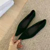 Casual Schuhe Bailamos2024 Frühling Frauen Punkt Zehe Samt Wohnungen Slip Auf Weiche Kleid Elegante Flache Heels Büro Ballett Mujer