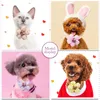 Hundkläder 50st vår spets båge slips mode skötsel för små hundar katter slipsar husdjur tillbehör