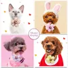 Vêtements pour chiens 50pcs printemps dentelle noeud papillon mode toilettage pour petits chiens chats cravates accessoires pour animaux de compagnie