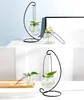 Vases Hanging Bottle Plant Pot Iron Holder Flowers Vase High Quality Home Decoration Glass Hydroponic Container Handmade Creative