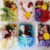 Decoratieve bloemen 1 doos Harsvuller Gemengde gedroogde decoratie Natuurlijke bloemen Nail Art Epoxy Vormvulling Sieradencomponenten DIY-decoratie