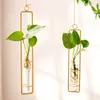 Vasi Mini vaso in vetro in corda per piante, contenitore da parete, decorazione per soggiorno in ferro battuto idroponico