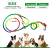 Laisses Laisse d'épaule pour chien Taille réglable Convertible Main libre Bandoulière sur l'épaule Double Fournitures pour chiens Laisse d'entraînement Multicolore