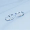 Dangle Earrings Fashion Jewelry Luxury Zircon Spring Women's Silver Plated Flash Korean
