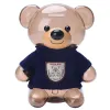 Boîtes créatives Abs Pull ours Borgy Banque Piggy Bank Transparent Belle boîte d'argent en peluche Cadeau pour les enfants