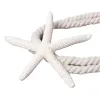 Akcesoria 2PC/SET STARFISH Kształt Kurtyna Zasłony Zasłony Trzymanie uchwytu na okno Zasłona Uchwyt Pasek Akcesoria Decor Home Decor