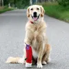 Vestuário para cães 6pcs torniquetes profissionais para gatos convenientes primeiros socorros portáteis para animais de estimação