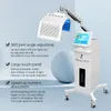 13 I 1 Hydra Beauty Skin Care Treatment Spray Gun EMS Scam Comb Photodynamic Light Therapy Multifunktion Estetisk maskin