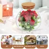 Vases 2 Pcs Micro Landscape Ecological Bottle Flowers Decoration DIY Glass Terrarium Mini Home Empty Moss Wood Base Dome