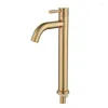 Robinets de lavabo de salle de bains BMDT-Brush Gold Robinet de lavabo simple froid 304 Mélangeur de matériau Robinet de lavage d'eau