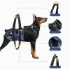 Harnesses 2023 Newtype Elderly Dog Onepiece Auxiliary Braces Harness for Injured Dog, Front and Rear Legs, Double Sling Pet Supplies