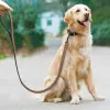 Trelas para cães, coleira de couro para animais de estimação, filhotes, caminhada, corrida, cinto de corda de treinamento para cães pequenos, médios e grandes, suprimentos para animais de estimação