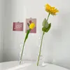 Vases Nordic Glass Bubble Vase INS Art Flower Ornaments Creative Funny Spherical Container