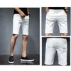 Branco Rasgado Riscado Homens Denim Shorts Casual Verão Jeans Popular Elástico Plus Size 36 38 40 42 Meninos Pretos Buracos Meia Calças 06iB #