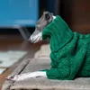 Vestuário de cachorro verde gola alta de gama espessada suéter de estimação italiana galgo whippet roupas de malha de duas pernas