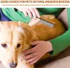 Combs Benepaw Professional Dog Comb Bekvämt trähandtag Kort långa tänder Petkam för att ta bort mattade löst hårknuttävlingar