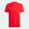 2024 2025 Wales voetbalshirts JAMES BALE 24 25 Welsh voetbalshirts JOHNSON N.WILLIAMS RODON T.ROBERTS CABANGO LEVITT MOORE THOMAS Heren kindertenue