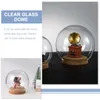 Fleurs décoratives 5 pcs rose enfant de Noël Snow Globe Globe en verre transparent couvercle transparent