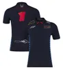 2024 Nieuwe F1-coureur Polo Shirts T-shirt Formule 1 Team Racing Fans T-shirts Summer Quick-Dry Jersey Men Women T-shirt plus maat