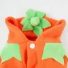 Abbigliamento per cani articoli di Halloween tessuto resistente design unico comodo vestito di alta qualità adorabili costumi per animali domestici