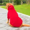 Tröja, husdjurs tröja, fast färg hoodie för stora hundkläder