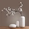 Filme Keramik Vase Dekoration moderne einfache japanische Zen -Stilblumenentrocknungsgerät Teehaus Hotel Wohnzimmer Veranda Dekoration