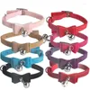 Colliers de sécurité pour chiens, nœud papillon élastique avec cloche, petit collier pour chat, en velours doux, fournitures de produits pour animaux de compagnie