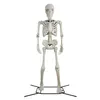 Arti e mestieri Halloween Nt Poseable Scheletro Decorazione Colore osso 10 Ft By Way Per celebrare Drop Delivery Home Garden Gifts Ot5Xe