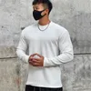 Heren T-shirts 2024 Fitness Mode Trend Ademend Anti-rimpel Slang Stof Casual Sport Slanke Lange Mouw Jumper