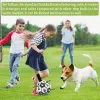 Spielzeug Hundespielzeug, interaktives Haustier-Fußballspielzeug mit Zungen für Hunde, Outdoor-Training, Fußball, Tierbiss-Kaubälle für Hundezubehör