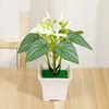 Fiori decorativi 1Pc Anthurium artificiale Bonsai Plastica Palma Verde Piante In vaso Pianta di simulazione per la casa Tavolo Decorazione del giardino Ornamenti