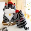 Poupées en peluche 30-50 cm Vive mon empereur chat poupée bazar noir en peluche jouet de haute qualité Kawaii dessin animé oreiller en peluche cadeau de noël pour les enfants T240325