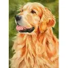 Stitch Animal Golden Retriever Diy 3D Full Diamond Mosaic Diamond Brodery Diamond Målning Set Christmas Gift Decor Bild