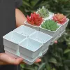 Couvercles Meshpot 6/7 cm Pot de plantes succulentes avec plateau en plastique carré Pot de fleur Cactus planteur jardin décoration de la maison bassin Pot plantes boîte