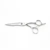 Hair Cutting Scissors 55 INCH 6 Shears F21 Hairdressing Lyrebird HIGH CLASS 240315