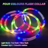 Colliers lumineux en Silicone pour chien, multicolore, chargeur USB, collier de sécurité pour chiot, taille découpable pour la marche nocturne des animaux de compagnie