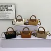 Shop Crossbody Bag Billig Export Handheld kleine Herbst- und Wintertextur Eins Schulter für Frauen 2024 High-End-Versatilemsoe