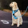 Harnassen Benepaw Geen Pull Hondentuig Comfortabel Reflecterend Bedieningshandvat Gewatteerd Puppy Huisdier Vest Harnas Voor Kleine Middelgrote Honden