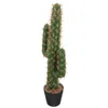 Kwiaty dekoracyjne sztuczne rośliny kaktusowe fałszywe fałszywe symulacja dekoracje bonsai ozdoby duże plastikowe rzemiosło figurki posągowe