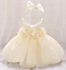 Robes de fille grande fleur robe de bébé élégant blanc baptême 1er anniversaire fête princesse enfants pour mariage première Communion Costume