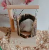 Jouets Hamster aménagement paysager Hamster Djungarian Hamster jouet échelle de chalet souche de pommier paquet de petite maison en bois de pommier
