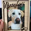 Frame Personalized Dog Frame Dog Memorial Gift Custom Dog Picture Frame Pet Name Photo Frame Free Custom Wooden Engrave Color Printing