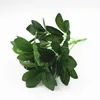 Decorative Flowers Flower Green Potted Decoration Simulation Duck Foot Wood Anthurium Wall Leaves Seven Star Zinnia