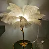 Plume d'autruche nordique lampadaire LED résine cuivre salon décor à la maison