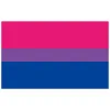 Accessoires Drapeau arc-en-ciel Bannière œillets en polyester Lgbt Gay Rainbow Progress Pride Drapeau pour décoration de chambre, fête, cadeaux commémoratifs pour femmes et hommes