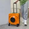 Trasportini Trolley per animali domestici, Cane gatto, Capsula spaziale, Borsa per gatti, Custodia portatile per aria, Custodia portatile per gatti, Viaggio