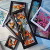 Frames Getrocknete Blumenrahmen-Aufbewahrungsbox, transparente Anzeige, Bild, Armband, Schmucketui, Heimwanddekoration