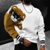 super losse teddybeer heren hoodie top fi persality kleur bijpassende hoodie T-shirt herfst / winter trui jeugd hoodie w9Ms #